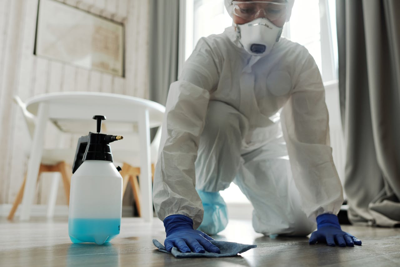Deep Cleaning